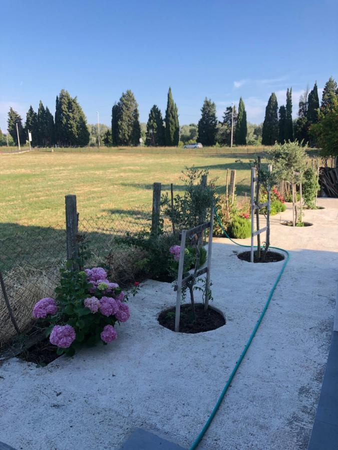 Margaritaville Apartman Ulcinj